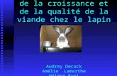 Aspects génétiques de la croissance et de la qualité de la viande chez le lapin Audrey Decock Amélie Lamarthe Hélène Ruel.