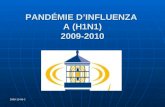 2009-10-06-C PANDÉMIE DINFLUENZA A (H1N1) 2009-2010.
