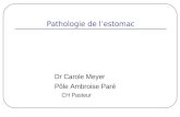 Pathologie de lestomac Dr Carole Meyer Pôle Ambroise Paré CH Pasteur.