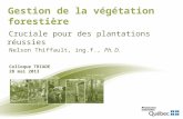 Gestion de la végétation forestière Cruciale pour des plantations réussies Nelson Thiffault, ing.f., Ph. D. Colloque TRIADE 28 mai 2013.