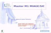 1 Master M1 MIAGE/SIC  Domaine Maths, Info & Applications, Mention Informatique des Organisations, Spécialité MIAGE.