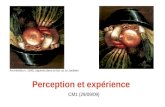 Perception et expérience CM1 (29/09/09) Arcimboldo (v. 1590) Légumes dans un bol, ou Le Jardinier.