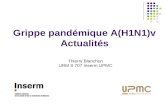 Grippe pandémique A(H1N1)v Actualités Thierry Blanchon URM S 707 Inserm UPMC.