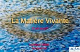 La Matière Vivante Cest quoi? Luciano Vidali VIDL06087506 VIDL06087506.