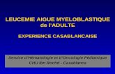 LEUCEMIE AIGUE MYELOBLASTIQUE de lADULTE EXPERIENCE CASABLANCAISE Service dHématologie et dOncologie Pédiatrique CHU Ibn Rochd - Casablanca.