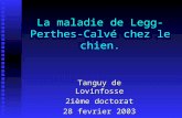 La maladie de Legg-Perthes- Calvé chez le chien. Tanguy de Lovinfosse 2ième doctorat 28 fevrier 2003.