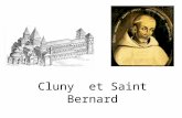 Cluny et Saint Bernard. Saint Bernard a été moine de Cîteaux. Cluny et Cîteaux étaient des abbayes bénédictines mais elles différaient par leur vie monastique.