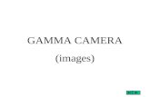 GAMMA CAMERA (images). Les caractéristiques des images.
