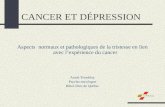 CANCER ET DÉPRESSION Aspects normaux et pathologiques de la tristesse en lien avec lexpérience du cancer Annie Tremblay Psycho-oncologue Hôtel-Dieu de
