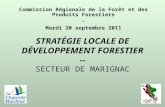 STRATÉGIE LOCALE DE DÉVELOPPEMENT FORESTIER -- SECTEUR DE MARIGNAC Commission Régionale de la Forêt et des Produits Forestiers - Mardi 20 septembre 2011.