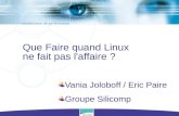 Que Faire quand Linux ne fait pas l'affaire ? Vania Joloboff / Eric Paire Groupe Silicomp.