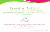 Enquête Tricud Les représentations sociales du groupe majoritaire concernant les minorités issues de limmigration Transnationalisme, dynamique des identités.