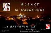 A L S A C E La M A G N I F I Q U E L e B A S – R H I N 1/2. Merci la Cigogne Musical & Automatique - mettre le son plus fort 17 juin 2014 France.
