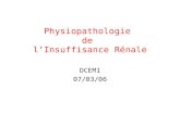 Physiopathologie de lInsuffisance Rénale DCEM1 07/03/06.