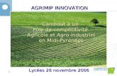 AGRIMIP INNOVATION Candidat à un Pôle de compétitivité Agricole et Agro-industriel en Midi-Pyrénées 1 Lycées 28 novembre 2006.