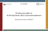 ProDesarrollo et la Protection des Consommateurs Quavons-nous réalisé?