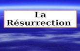 La Résurrection. Un sujet qui concerne: -La doctrine chrétienne -La prophétie -La fin des temps -Lannonce de lévangile -La défense de la foi chrétienne.