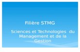 Filière STMG Sciences et Technologies du Management et de la Gestion.
