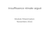 Insuffisance rénale aiguë Module Réanimation Novembre 2010.