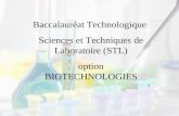 Baccalauréat Technologique Sciences et Techniques de Laboratoire (STL) option BIOTECHNOLOGIES.