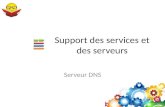 Support des services et des serveurs Serveur DNS.