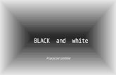 BLACK and white Proposé par Jackdidier Le noir et blanc confère aux images une part d’ atemparité, de mystère Quelques clichés.