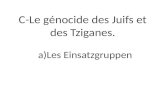 C-Le génocide des Juifs et des Tziganes. a)Les Einsatzgruppen.