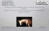 CALIS Thibaut DECHERF Marie LABECOT Anaïs PREVOST Lindsay Année 2010-2011 151 ème promotion PF Productions animales.