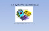 Le système numérique Mathématique 10 e – 1.1. * Nombres réels : nombres rationnels (entiers, décimaux et fractionnaires) et nombres irrationnels (tels.