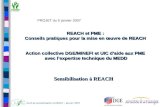 Outil de sensibilisation à REACH – janvier 2007 1 REACH et PME : Conseils pratiques pour la mise en œuvre de REACH Action collective DGE/MINEFI et UIC.