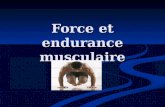 Force et endurance musculaire. Qu’est-ce que la force musculaire?  Tension maximale ou la force maximale qu’un muscle peut exercer en une seule contraction.