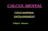 CALCUL MENTAL Calcul numérique ENTRAINEMENT Collège F Mauriac.