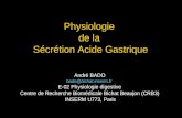 Physiologie de la Sécrétion Acide Gastrique André BADO bado@bichat.inserm.fr E-02 Physiologie digestive Centre de Recherche Biomédicale Bichat Beaujon.