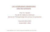 Année 2009-2010 Prof. Ch. Hanzen Complications obstétricales chez les ruminants Les complications obstétricales chez les ruminants Prof. Ch. Hanzen Faculté.