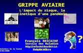 François BRICAIRE Hôpital de la Pitié - Salpêtrière Paris VI GRIPPE AVIAIRE Service des Maladies infectieuses ? L’impact du risque, la cinetique d’une.