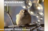 PERSÉVERANCE Musique: Songbird – Barbra Streisand.