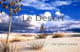 Le Desert Par Juliann Larese. Le Feu Invisible, où les enfants mettent les chapeaux,