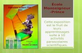 Cette exposition est le fruit de leurs apprentissages suite à 10 activités parascolaires scientifiques. École Monseigneur- Prince.
