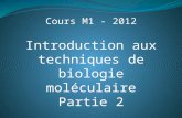 Cours M1 - 2012 Introduction aux techniques de biologie moléculaire Partie 2.