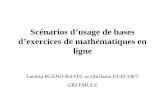 Scénarios d’usage de bases d’exercices de mathématiques en ligne Laetitia BUENO-RAVEL et Ghislaine GUEUDET GRI EMULE.