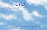 GIBII G estion I nformatisée du B revet I nformatique et I nternet Logiciel développé par la cellule C.A.T.I.C.E. de l’Académie de Bordeaux F. CIESIELSKI.