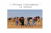L’Afrique Francophone - Le Sahara. La Mauritanie.