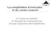 La congélation d’ovocytes et du cortex ovarien Pr. Catherine POIROT UF Biologie de la Reproduction Groupe Hospitalier Pitié-Salpêtrière.