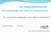 SCHMITT Mathieu M1P Phco UE : Les grandes pathologies : de la cible au médicament Université Louis Pasteur 2008-2009.