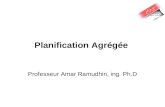 Planification Agrégée Professeur Amar Ramudhin, ing. Ph.D.