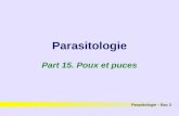 Parasitologie Part 15. Poux et puces Parasitologie – Bac 3.