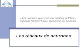 « Les neurones, ces mystérieux papillon de l’âme » Santiago Ramon y Cajal, découvreur des neurones. Les réseaux de neurones.