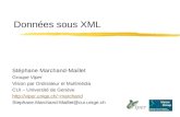 Données sous XML Stéphane Marchand-Maillet Groupe Viper Vision par Ordinateur et Multimédia CUI – Université de Genève marchand.