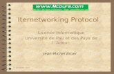 16.08.141 Iternetworking Protocol Licence Informatique Université de Pau et des Pays de l ’Adour Jean-Michel Bruel.