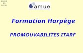 Harpège 2004-2005 PROMOUVABILITES ITARF Formation Harpège.